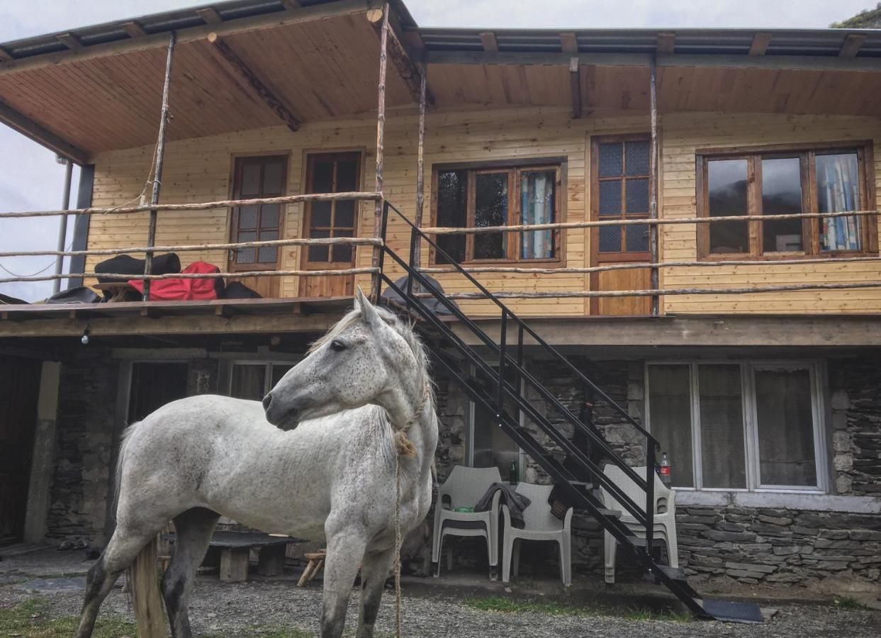 Гостевой дом Ardoti Guest House Ardoti-37